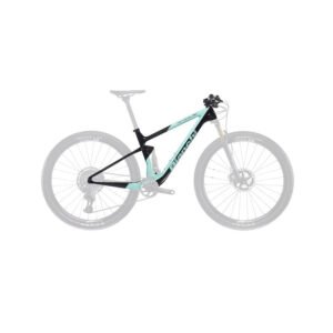 BIANCHI Methanol CV FS Frame