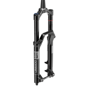 ROCKSHOX Domain Gold Isolator RC 29/15B 170mm Fork